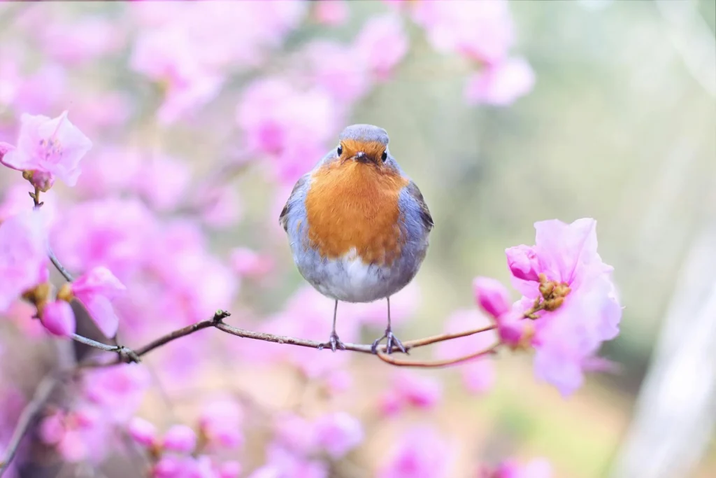 Early Spring Shows Initial Signs of Market Warm Up